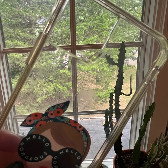 Rifle paper co iPhone 11 Pro Max case - Picture 6 of 8